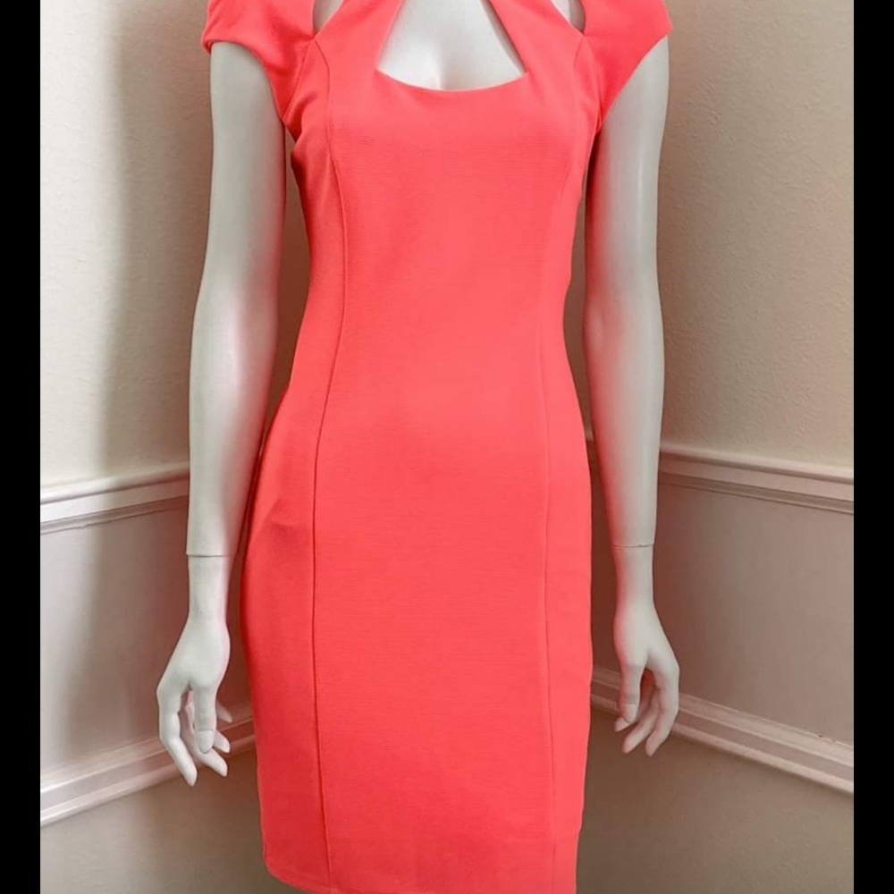 Kardashian Kollection bodycon dress